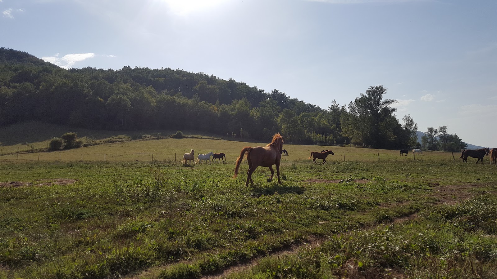 Photo de Les Balades du Conté
