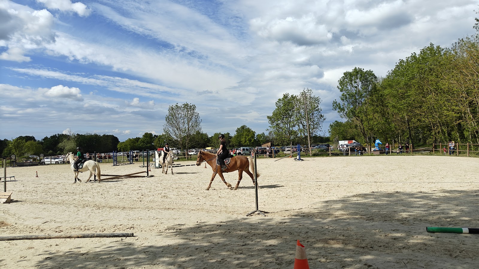 Photo de LES CAVALIERS D EPONA