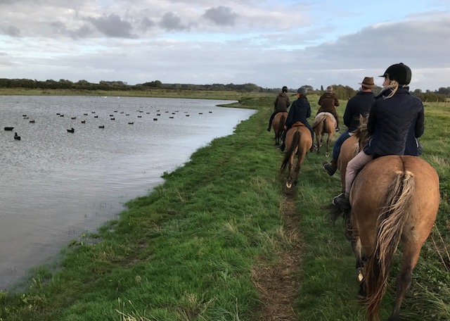 Photo de LES CENTAURES DE LA BAIE DE SOMME