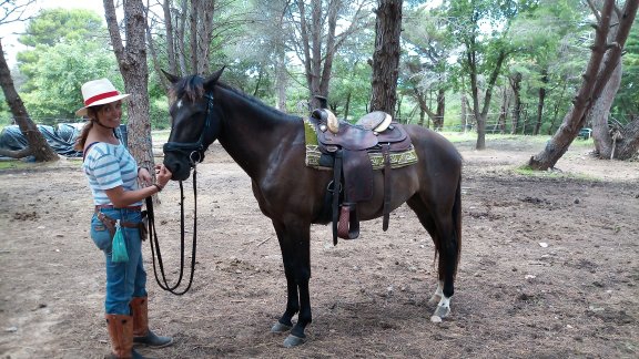 Photo de LES CHEVAUCHEES CATALANES