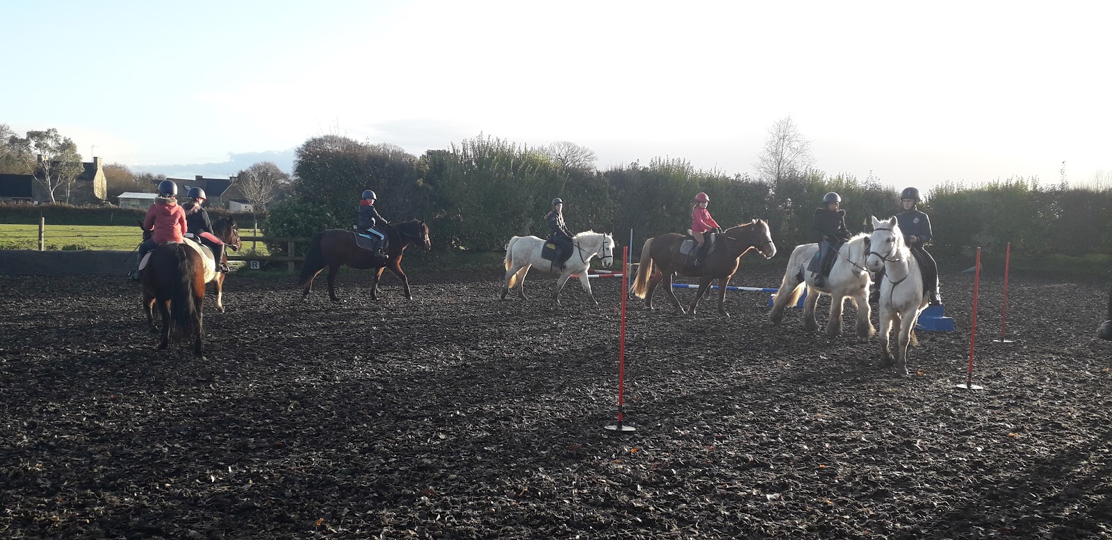 Photo de LES CHEVAUX DE COAT MARCH IG