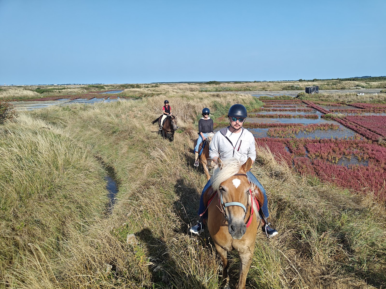Photo de LES CHEVAUX DE CONGOR