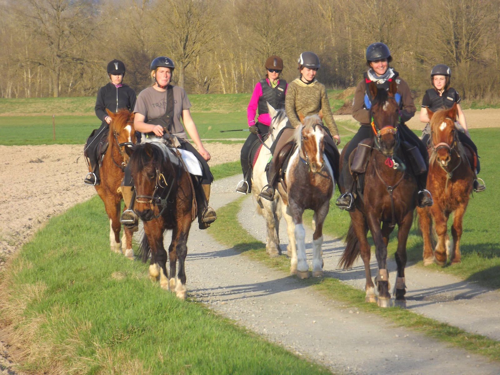 Photo de LES CHEVAUX DE LA PLAINE