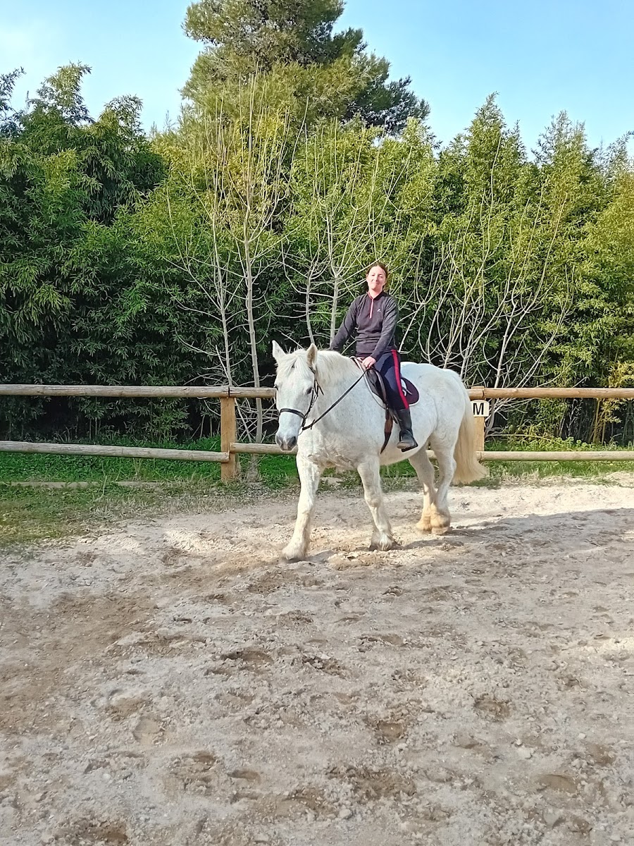 Photo de LES CHEVAUX DE MARGAUX