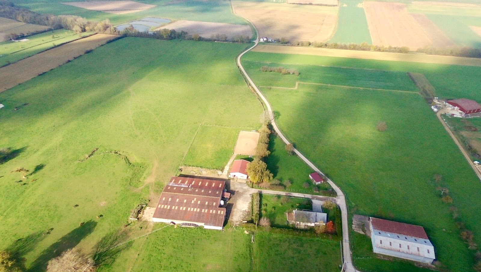 Photo de LES CHEVAUX DES TAREILLOTS