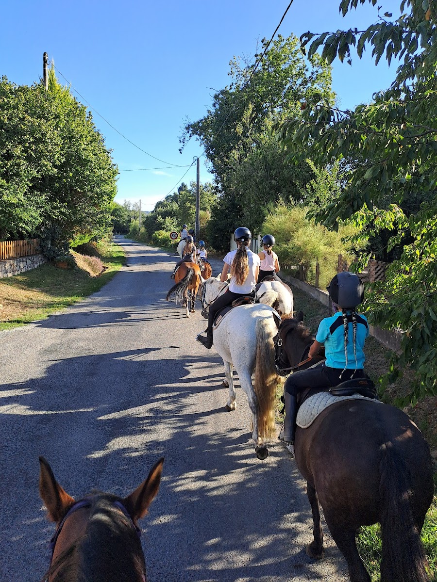 LES CRINIERES DE CHANTOT