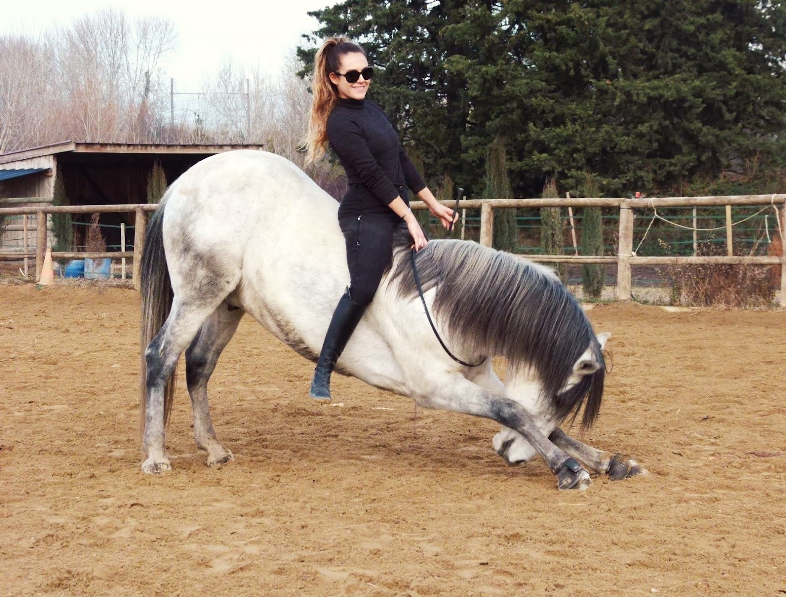 Photo de LES ECURIE DU CHEVAL D ARGENT