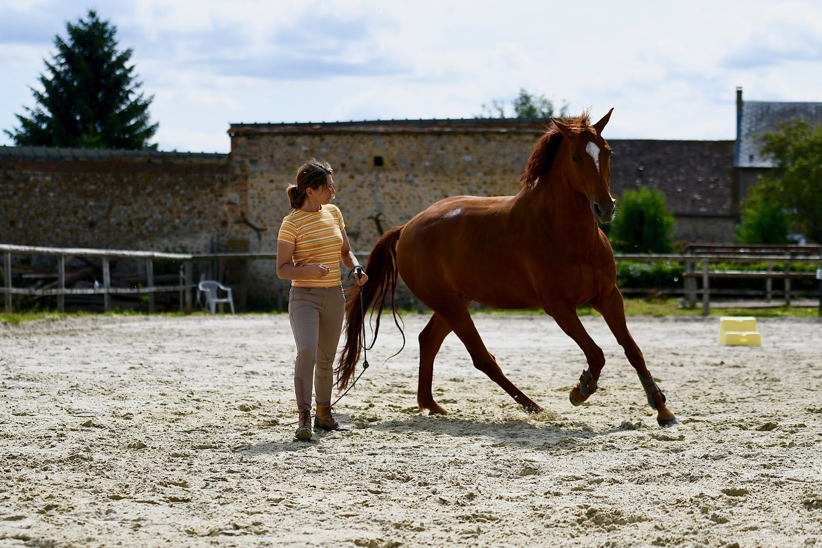 Photo de LES ECURIES D AM