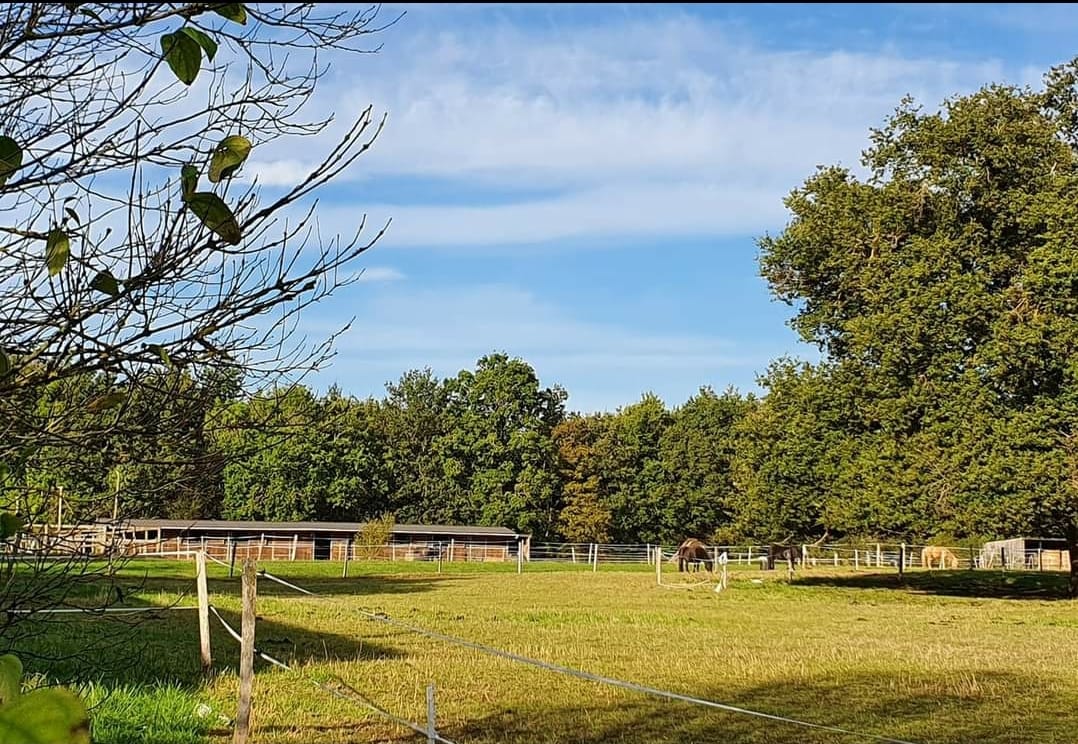 Photo de Les écuries d'Elwing