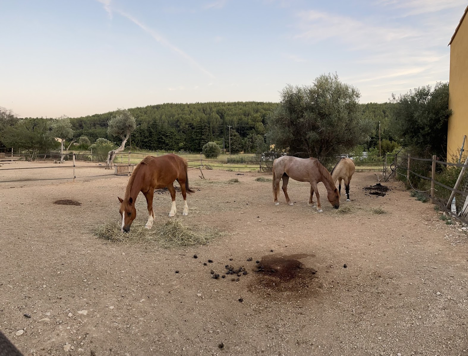 Photo de LES ECURIES DE BACYLO