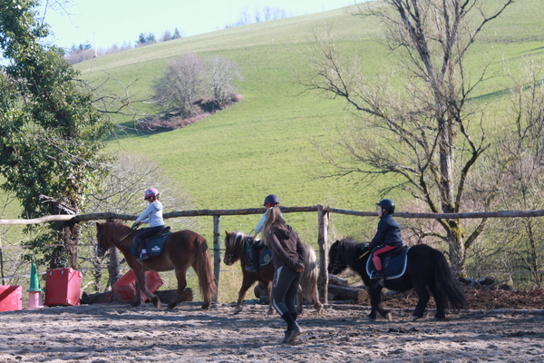 Photo de LES ECURIES DE CANTEPERDRIX