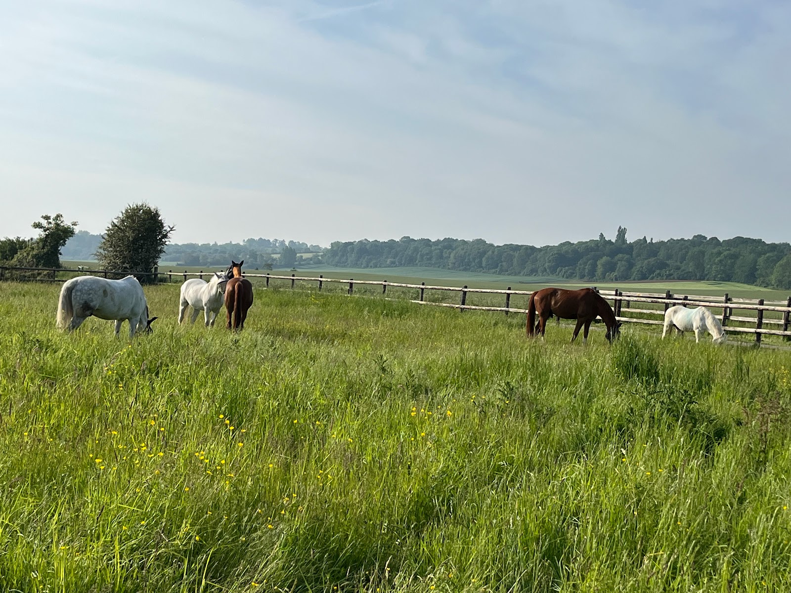 Photo de Les écuries de Crémonville