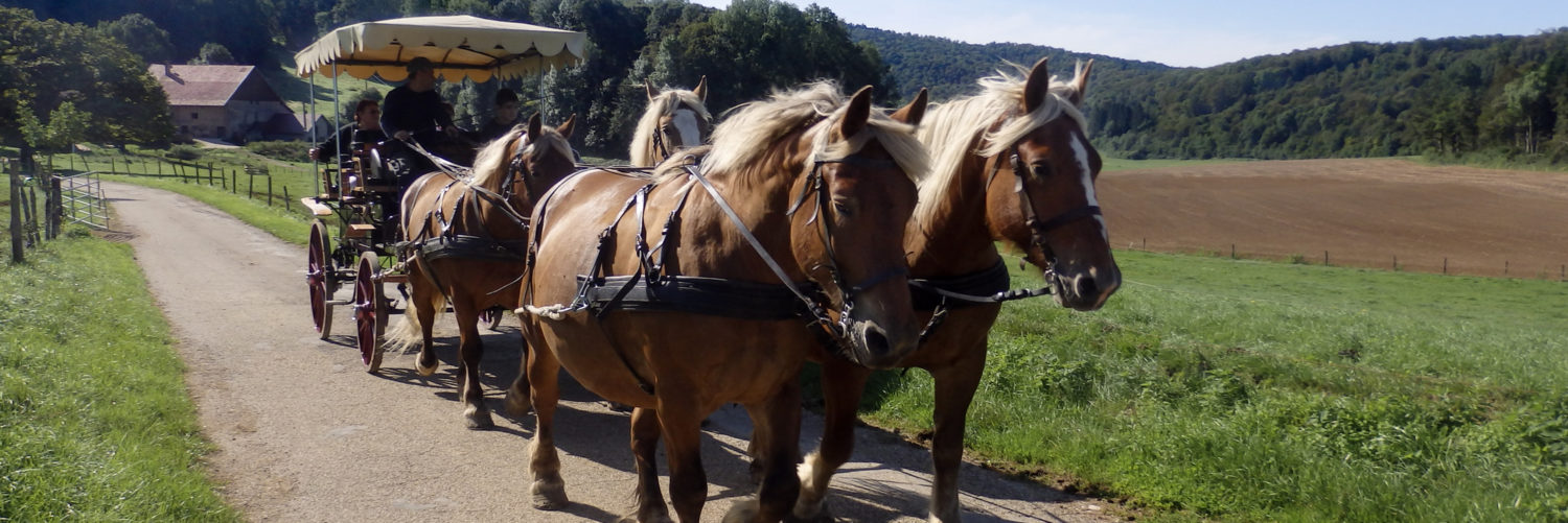 Photo de LES ECURIES DE LA CHAUX DENIS