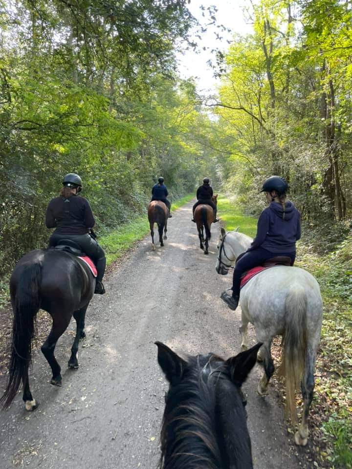 Photo de LES ECURIES DE LA CLE DES CHAMPS