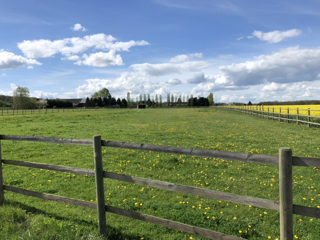Photo de Les Ecuries de la Gaité