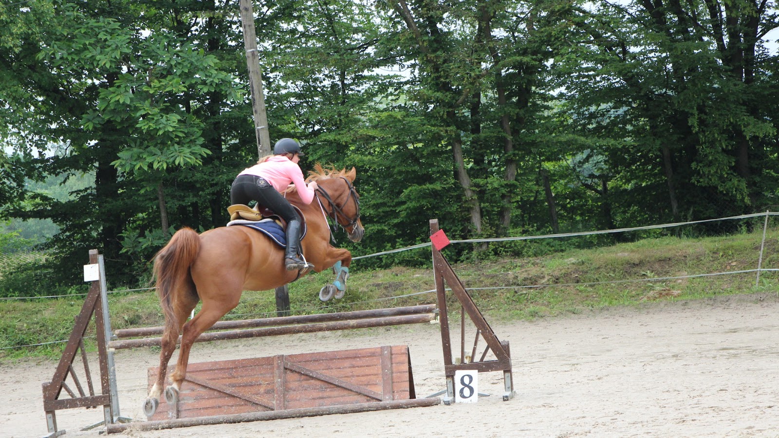 Photo de LES ECURIES DE LA GARENNE