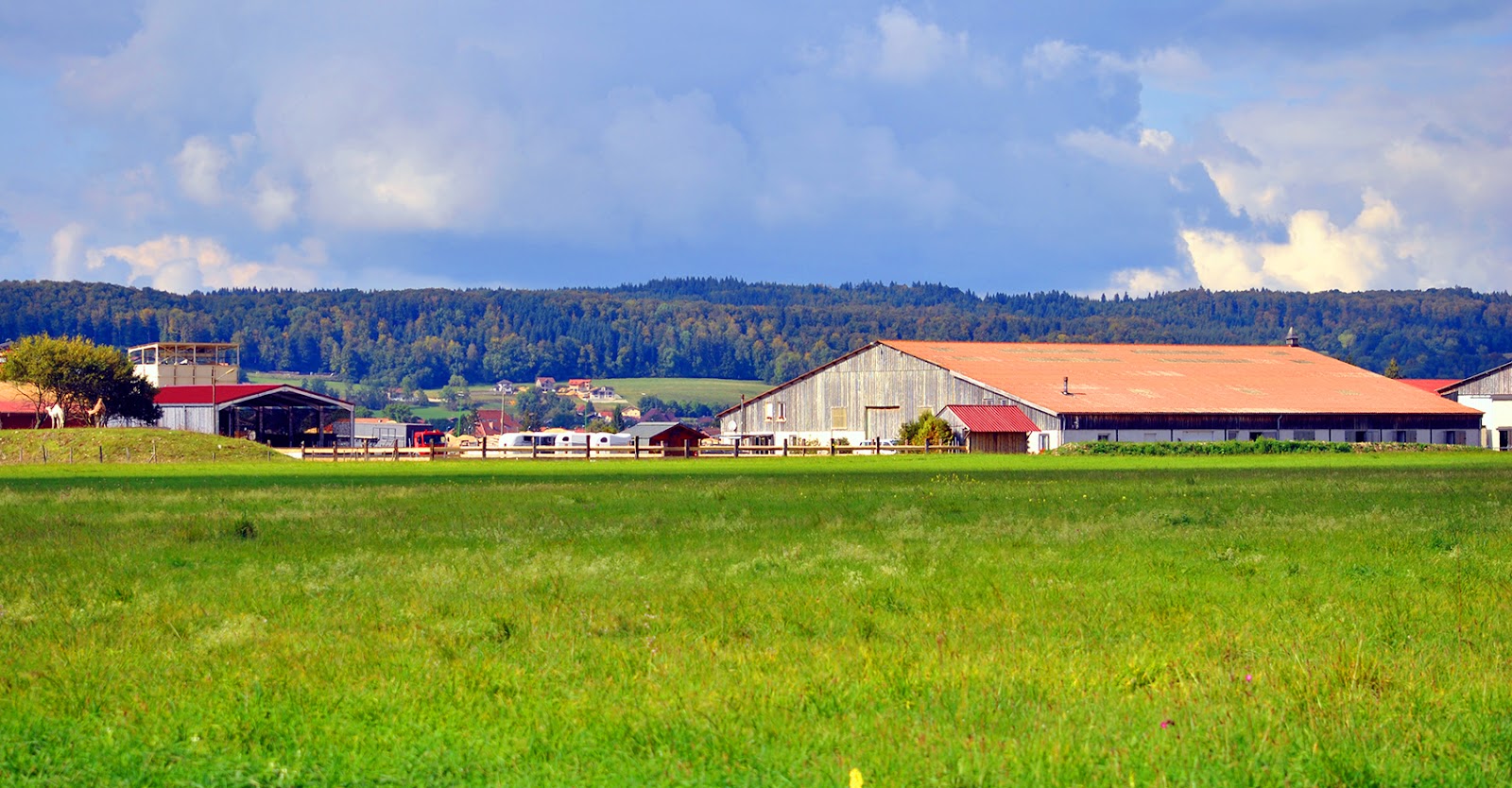 Photo de LES ECURIES DE LA PLAINE