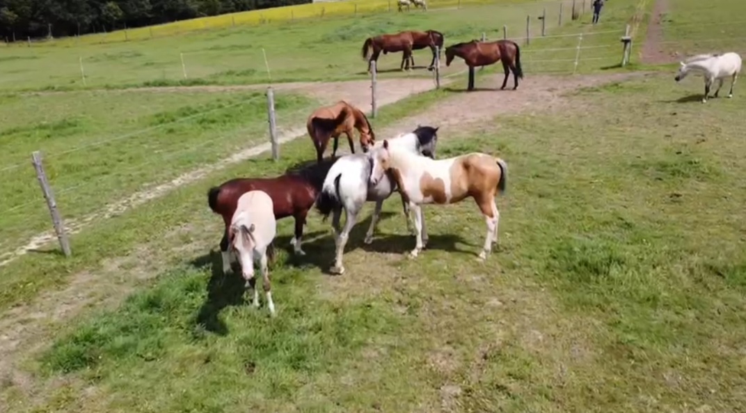 Photo de Les Écuries de La Riderie