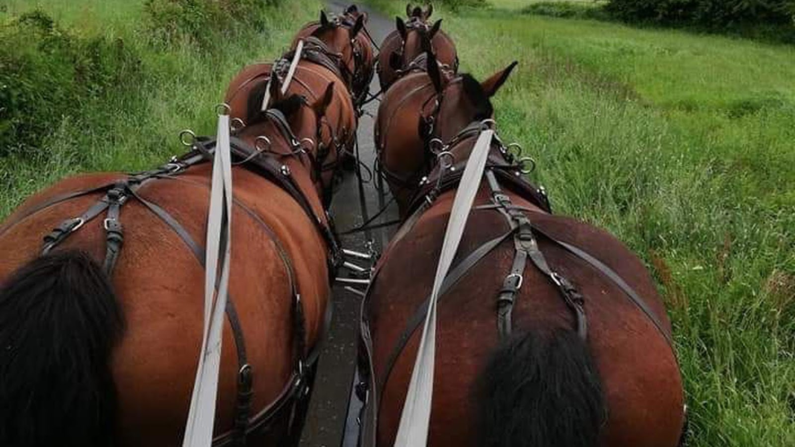 Photo de les écuries de la suisse normande