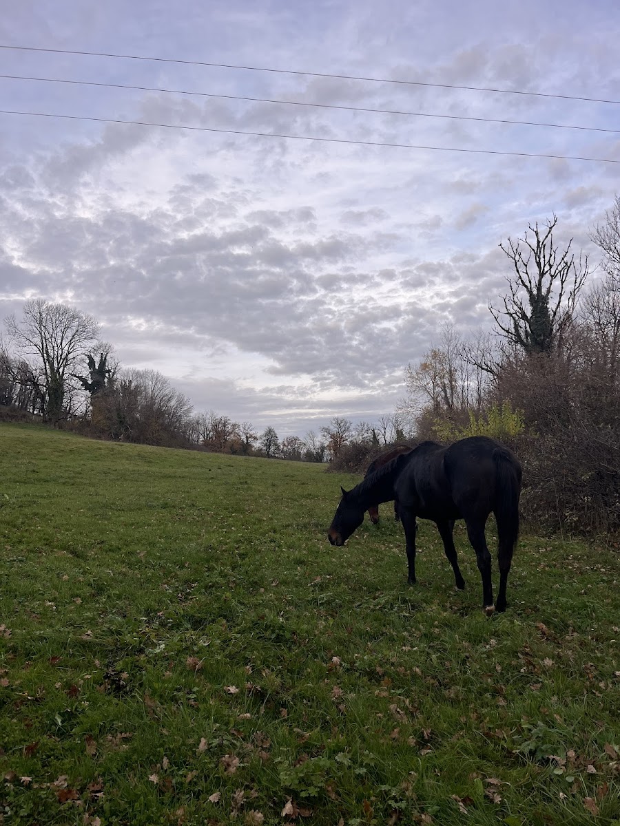 Photo de Les Écuries de la Tour