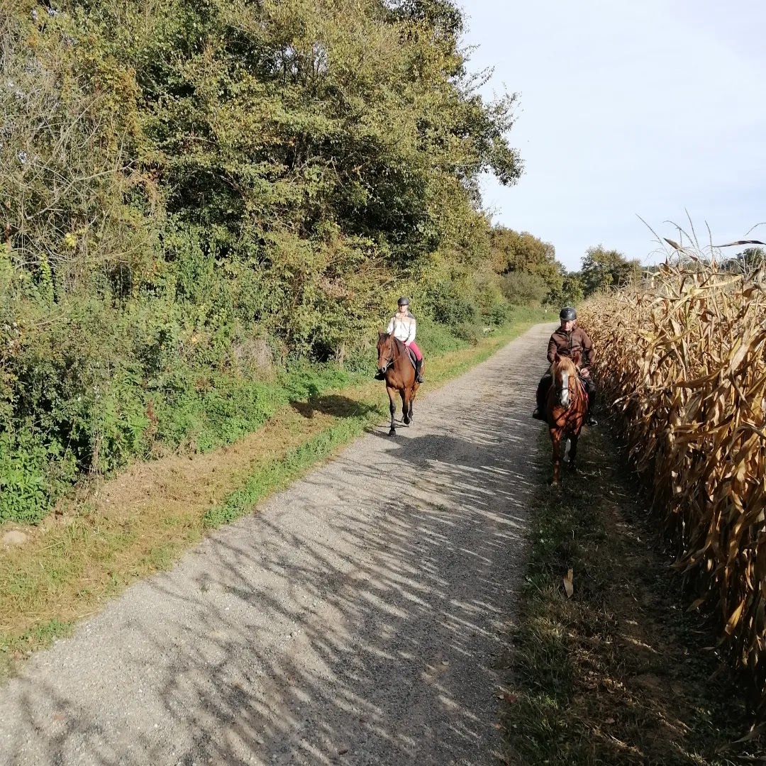Photo de Les écuries de Lapeyre