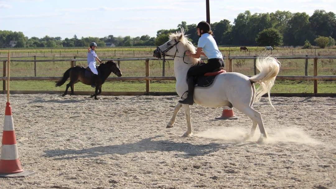 Photo de LES ECURIES DE MICY