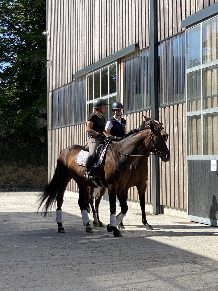 Photo de LES ECURIES DE NORMANDEL