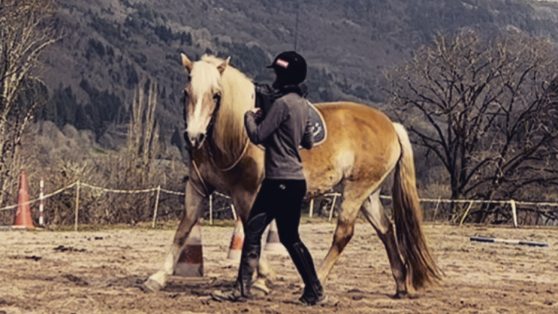 Photo de LES ECURIES DE PEPANIE