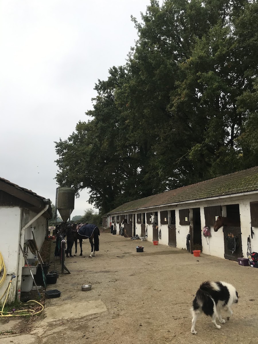Photo de Les Écuries de Rimberlieu