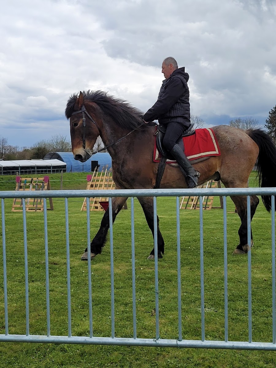 Photo de LES ECURIES DES GRIVES
