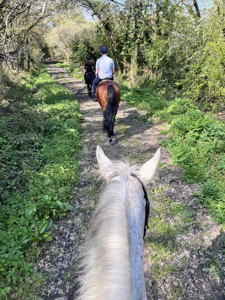 Photo de LES ECURIES DES PARCS