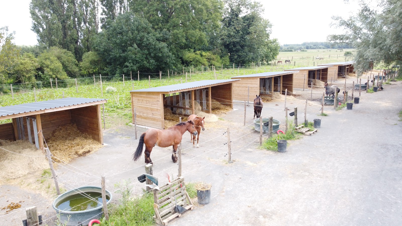 Photo de LES ECURIES DES QUATRE TERRES