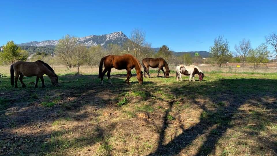 Photo de LES ECURIES DU PARC