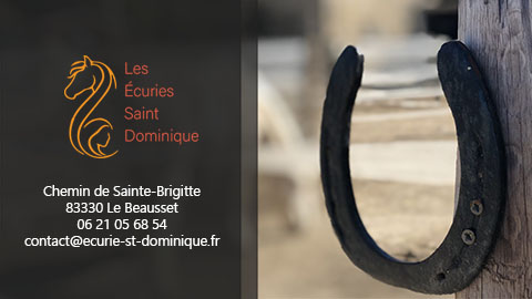 Photo de LES ECURIES SAINT DOMINIQUE