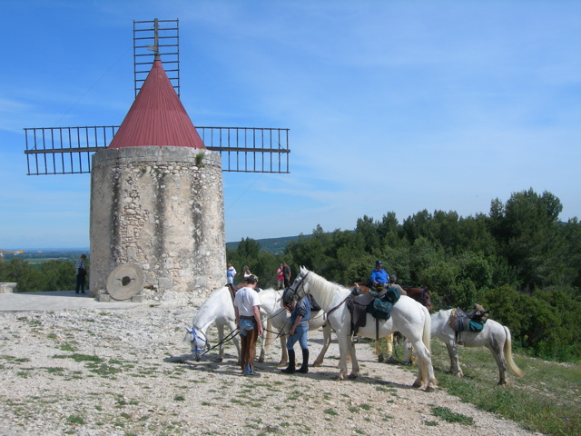 Photo de LES ENGANES