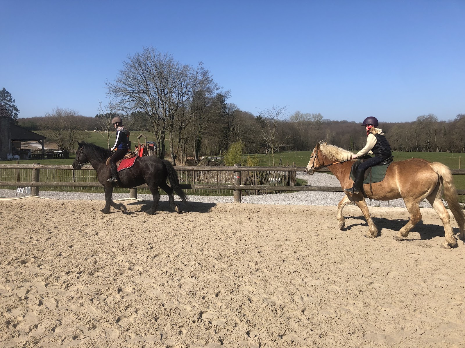 Photo de LES HARAS DE LA NEUVE FORGE