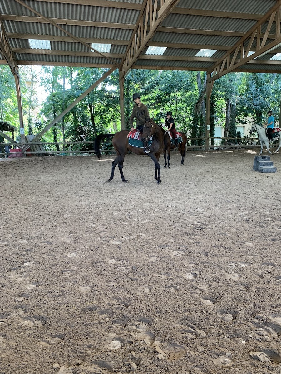 Photo de LES HARAS DE LA PORTE DE ST LEU