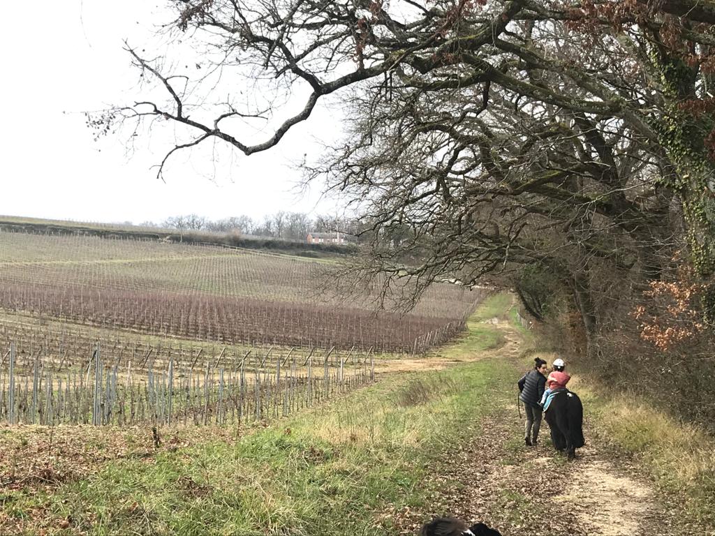 Photo de LES HAUTS DE BORDEAUX