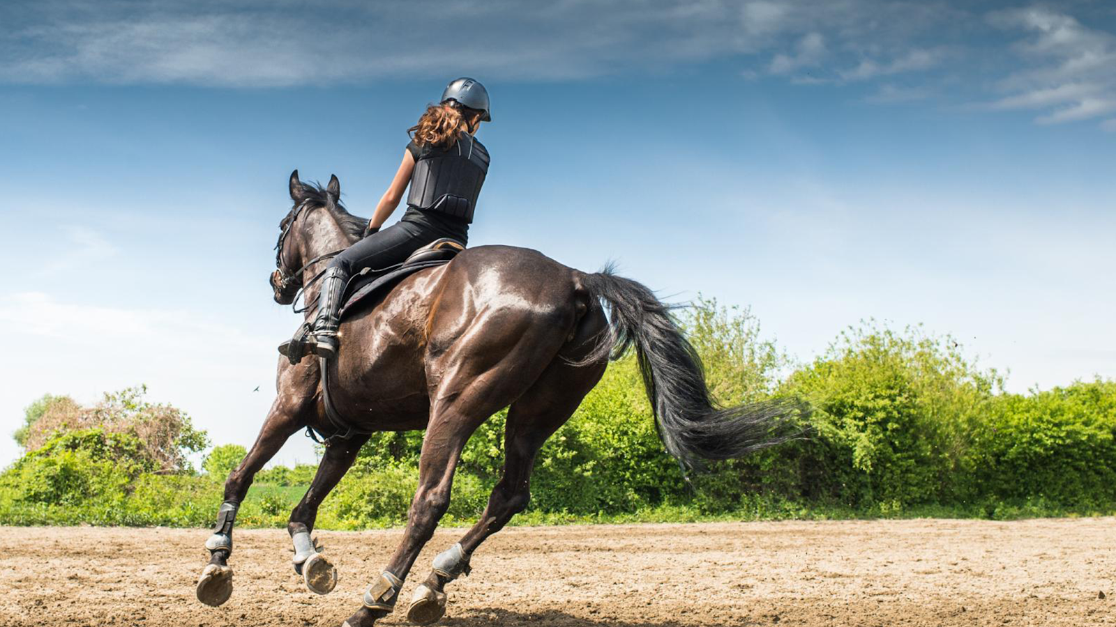 LES PONEYS D EOLE