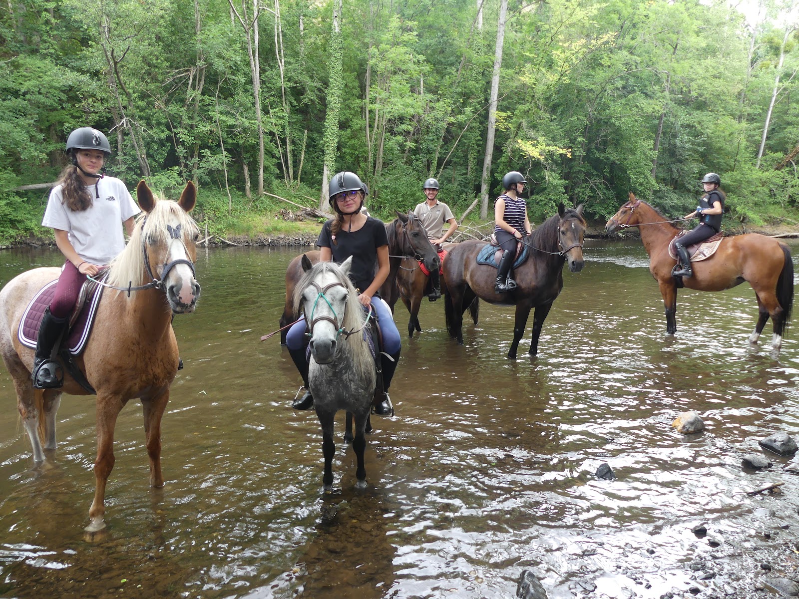 LES PONEYS D MOISSONS
