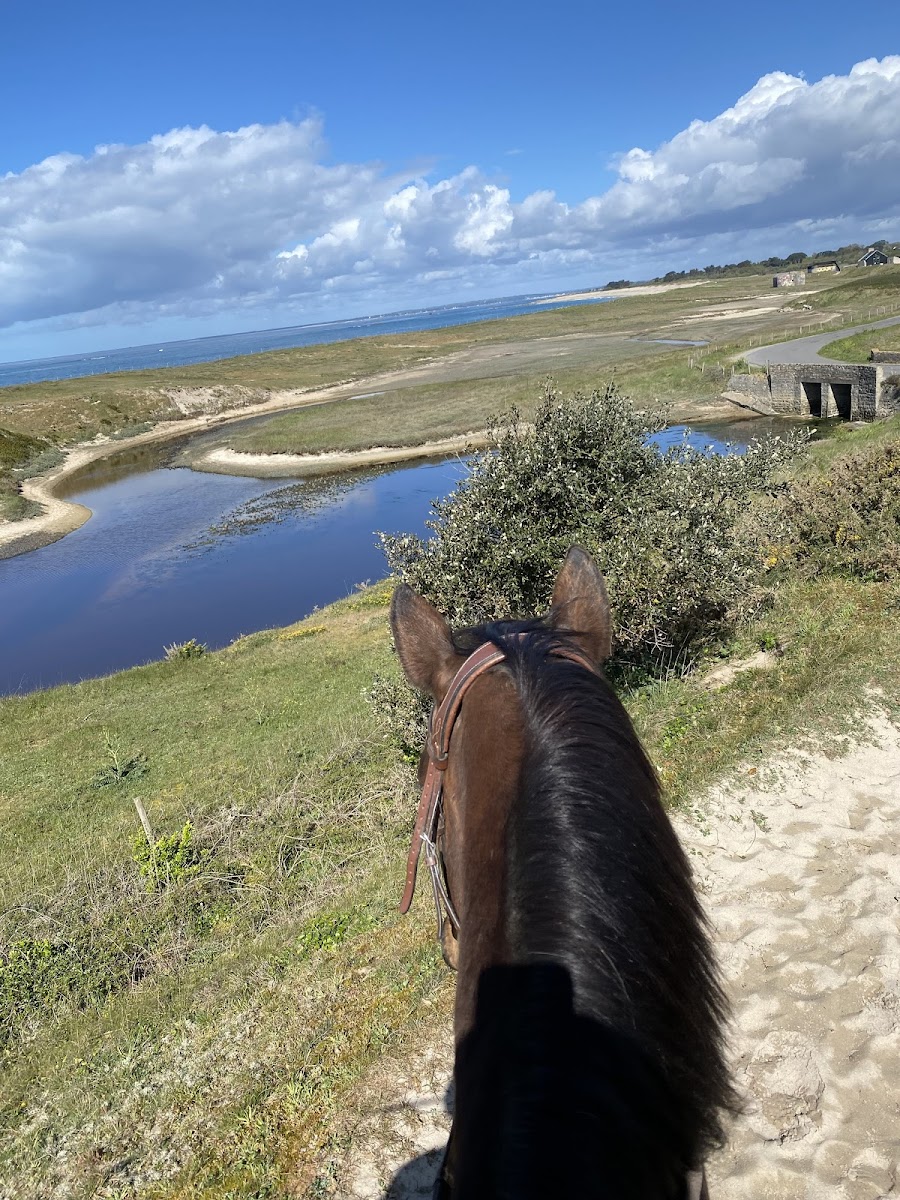 Photo de LES PONEYS DE KEROUGAR