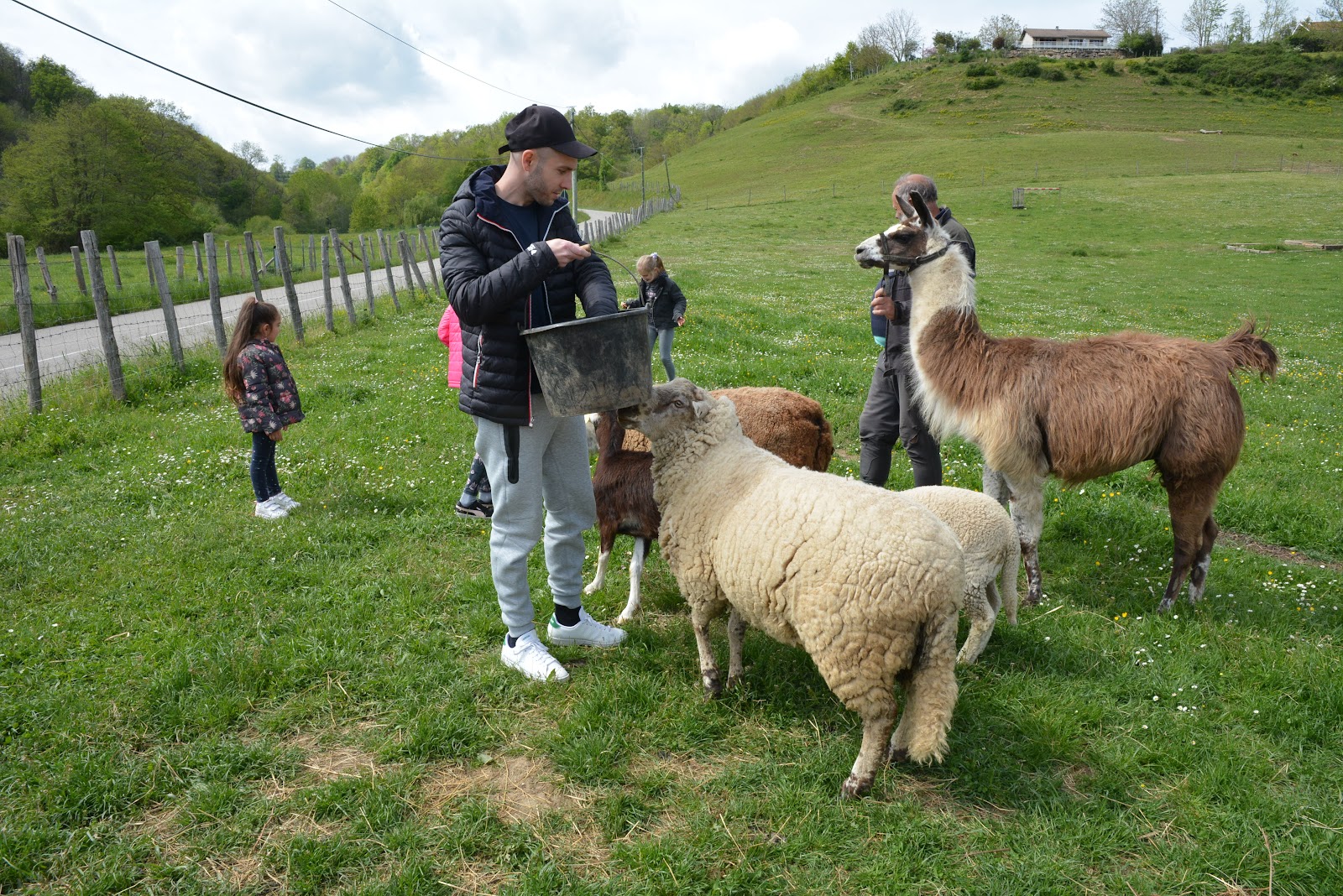 Photo de LES PONEYS DE LA DURME