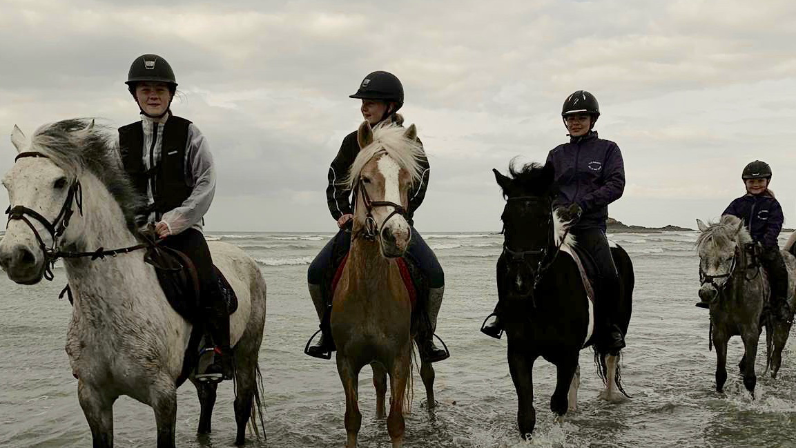 Photo de Les Poneys de La Millière