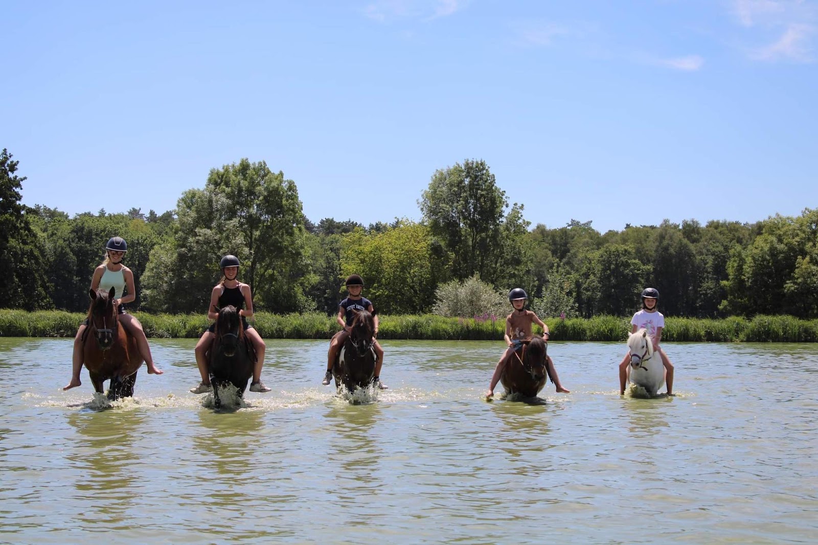 Photo de LES PONEYS DE MONTHOIRON