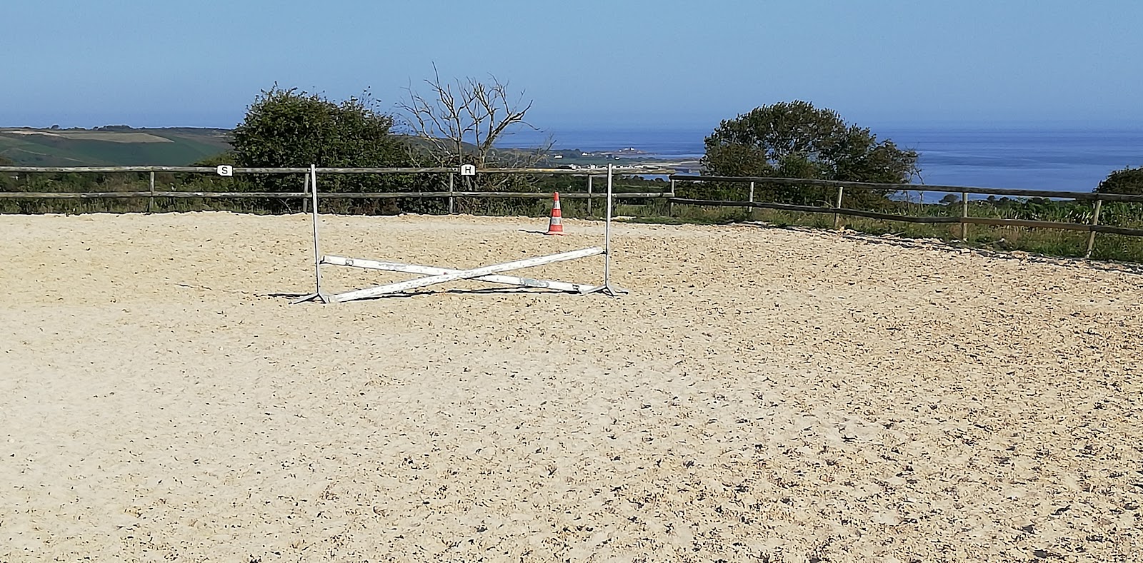Photo de Les poneys du caté
