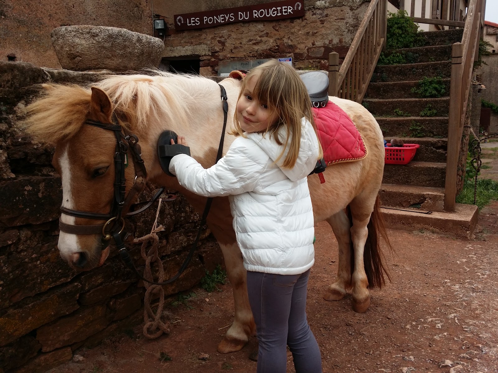 Photo de LES PONEYS DU ROUGIER