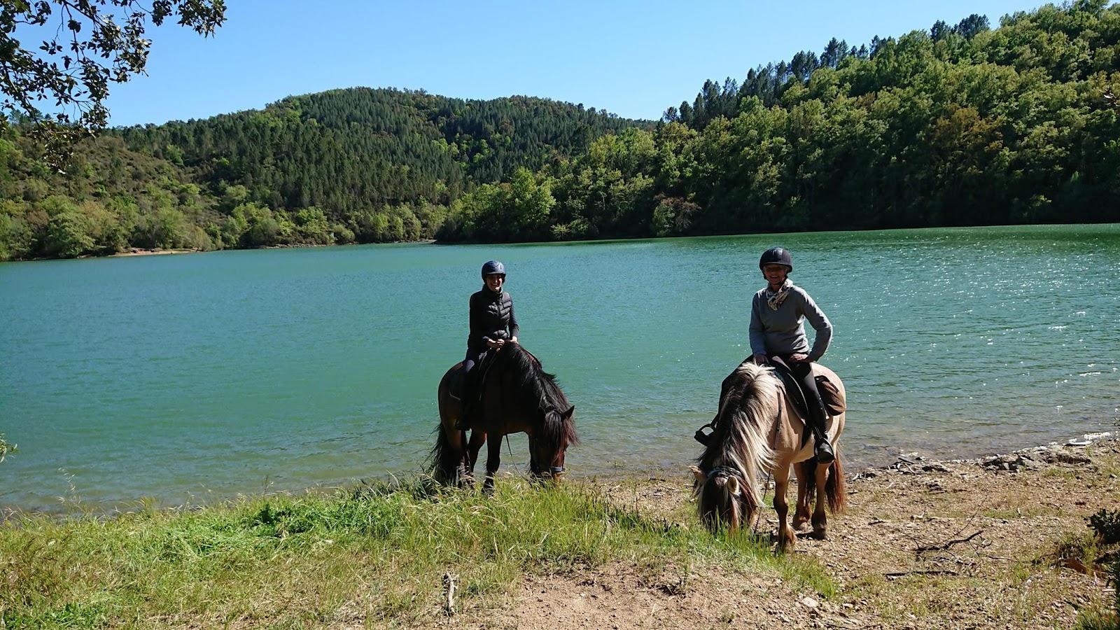 Photo de LES POUN S EN HERBE