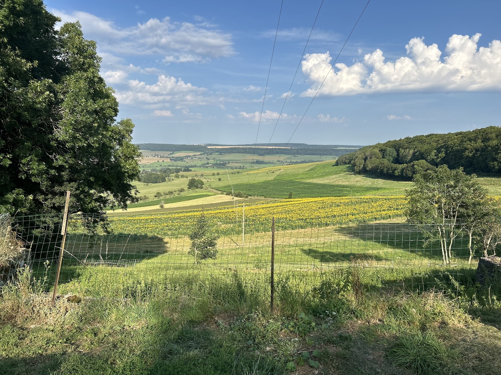 Photo de Les Randonnées des Noyers