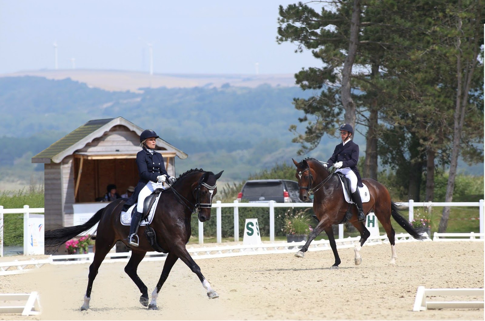 Photo de LIVERDY DRESSAGE