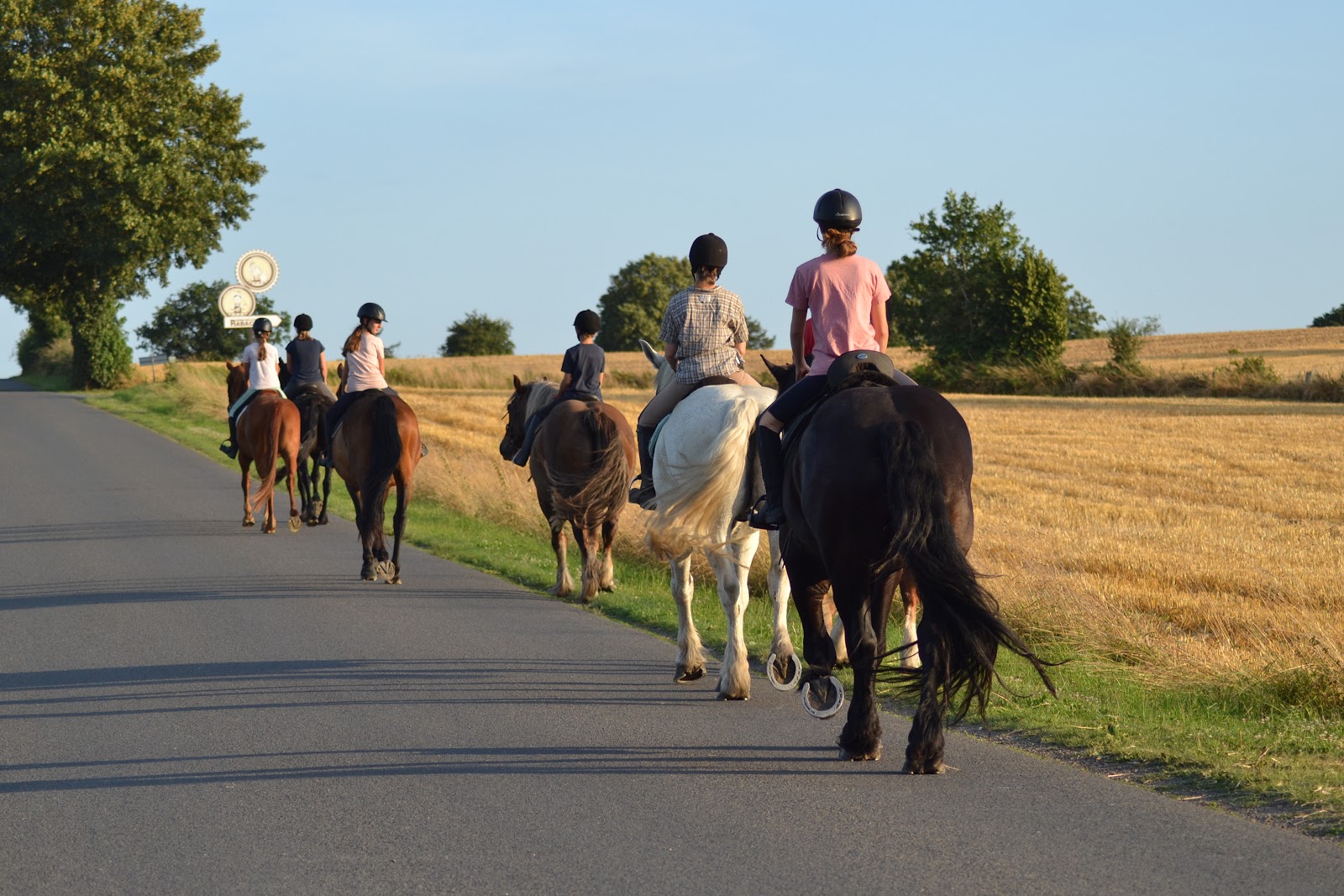 Photo de LOISIRS EQUESTRES